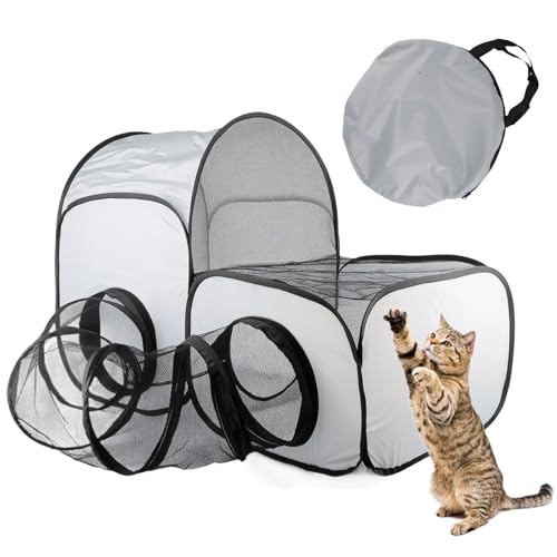 Katzengehege Katzengehege von Lixstyea