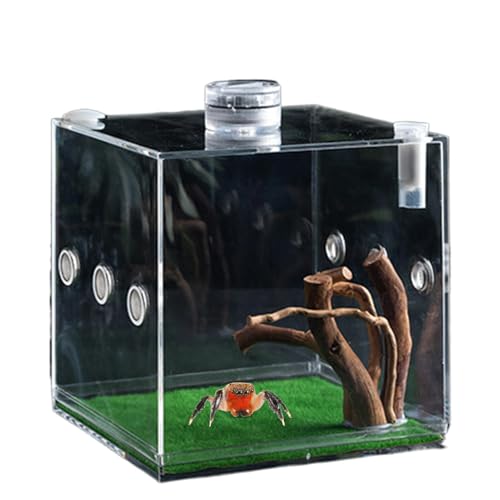 Lnhgh Clear Glass Reptile Container, Clear Reptile Cage - Sprungspinnenwachstumshegal | Leichte und kleine Tierzüchter für Schildkröten, Käfer, Schnecken und Eidechsen von Lnhgh