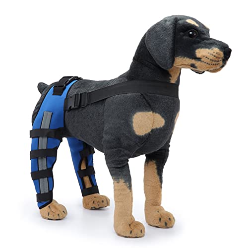 Loboo Idea Hunde-Beinbandage, atmungsaktiv, stoßfest, Beinschutz, Unterstützung für Stabilität, Verletzungen, Neopren, Größe L von Loboo Idea