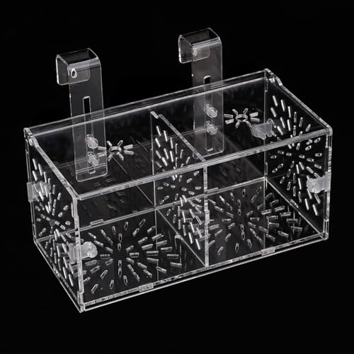 LOCADENCE Fischzuchtbox, Transparente Acryl Fisch Isolationsbox mit Isolationsbrett, Fischtrenner für die Zucht von Aquarienfischen, Garnelen Clownfisch Guppy (20CM*10CM*10CM) von Locadence