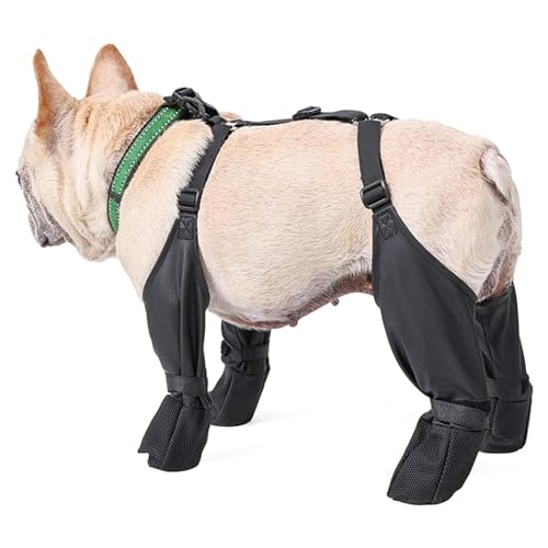 Locadence Hundestiefel Leggings, Verstellbare Schnalle, rutschfeste Hundeschuhe, Leggings, Wasserdichter Stoff, Hundehose, Hund, Outdoor, Spazierengehen, Laufen, Wandern (L) von Locadence