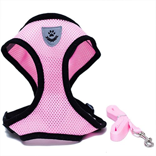 Locisne Mesh Gewebe Hundeweste Harness Weich Einstellbare Komfortable | Pet Lead-Brust Gehen Leine mit Clip(Klein, Rosa) von Locisne