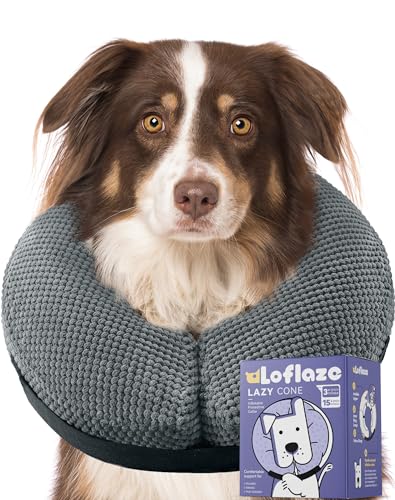 Loflaze Dogcone (Grau (XL)) von Loflaze