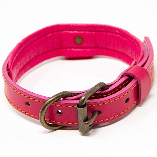 Logical Leather Deluxe Gepolstertes Halsband, Small - Fits 10-13 in. Neck, Rose von Logical Leather