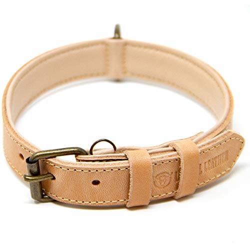 Logical Leather Hundehalsband – bestes Vollnarbenleder, gepolstert, Echtleder, Hundehalsband für mittelgroße Hunde, hellbraun, Größe M von Logical Leather