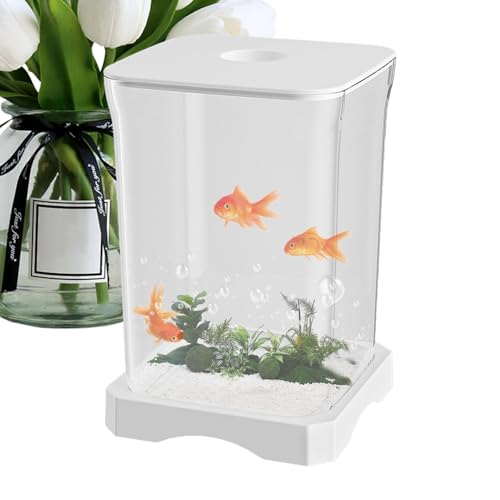 Betta Aquarium, kleine Aquarium-Dekoration, HD-Schreibtisch-Aquarium, LED-Aquarium-Licht, dekoratives Aquarium, Starter-Aquarium-Set, Heimbüro, Aquariumschale, Desktop-Fisch-Aquarium von Lokaquk