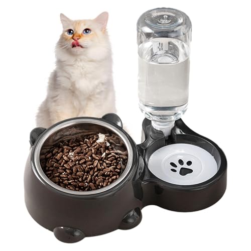 Lokaquk Double Bowls Pet Feeder Dispenser, Tilted Water and Food Bowl Set for Cats and Dogs, Easy to Clean and Stylish Feeding Solution for Small to Medium Pets von Lokaquk