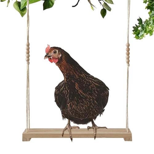 Lokaquk Hen Swinging Toy | Rooster Activity Toy | Chicken Roosting Swing, Fun Chicken Enrichment, Poultry Entertainment Device, Swing Toy for Hens, Chick Play Equipment, Interactive Chicken Toy von Lokaquk