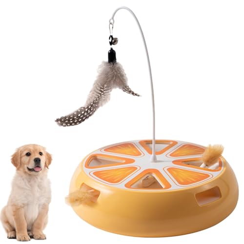 Lokaquk Wohnzimmer Katzenspielzeug | Automatischer Katzen-Spinner | Lustiges Katzenübungsspielzeug, Intelligentes Katzenspielzeug, Pet Play Spinner, Katze Agility Spielzeug, Einzigartiges von Lokaquk