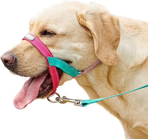 LoKori Collar Halsband für Hunde, Erziehungshalsband liebevoll, Hundehalfter, Verhindert, DASS Ihr Hund an der Leine zieht, Einfache Anpassung und Benutzung (1) von LoKori