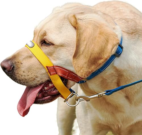 LoKori Collar Halsband für Hunde, Erziehungshalsband liebevoll, Hundehalfter, Verhindert, DASS Ihr Hund an der Leine zieht, Einfache Anpassung und Benutzung (2) von LoKori