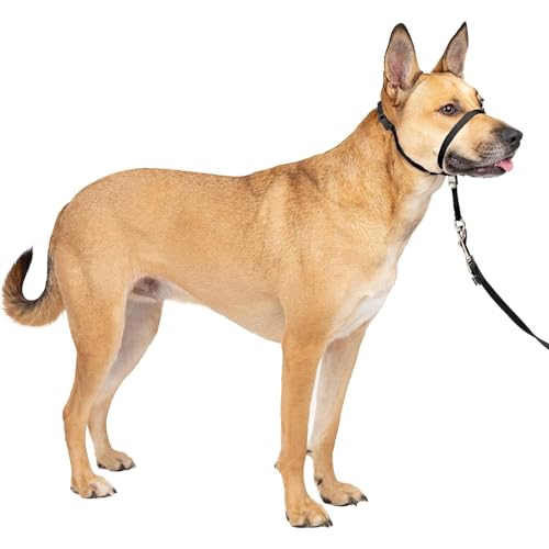 Dog Head Collar, Maulkorb für Hunde, No Pull Training Tool for Dogs on Walks, Antizug-no Pull Geschirr garantiert, für große, mittlere und kleine Hunde geeignet (S,Black) von LokoRi