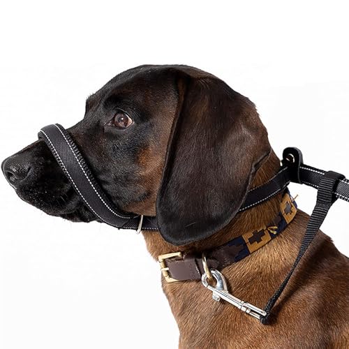 Dog Head Collar, Verhindert DASS Ihr Hund an der Leine zieht, No Pull Training Tool for Dogs on Walks, für große, mittlere und kleine Hunde geeignet, Mit einem 2-Meter-Zugseil von LoKori