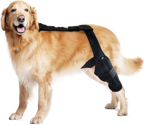 Hunde Erholungsanzug, Hund Chirurgie Erholung Ärmel vorne Hinterbeine rechts Links Bein, Hunde Kniebandage, Chirurgischer Genesung, und Hilft bei Gelenkentzündung und Verstauchungen (XL/Left leg) von LoKori