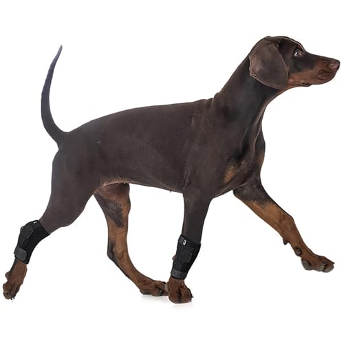 Hunde-Hinterbein-Bandage, Ellenbogenbandage Hund Vorderbein, Abriebfeste Hund Recovery Hülse, für gerissenes ACL-Hinterbein/Vorderbein, verhindert das Lecken von Wunden (S-M) von LokoRi