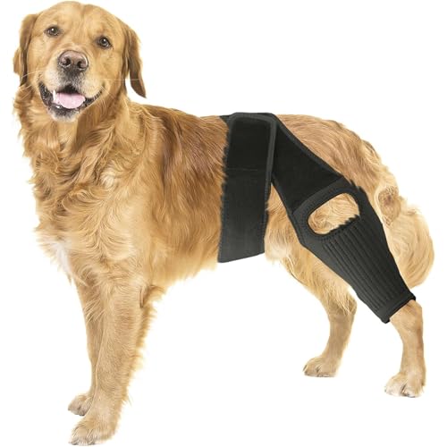 Hunde-Hinterbein-Bandage, Hundebeinwickel, Schutz Einstellbare Knie Brace Bein Unterstützung, für Hunde mit ACL-Kniescheiben-Verrenkung, für die Genesung nach Operationen (L,Black) von LoKori