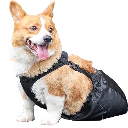 LoKori Hunde-Zugtasche, Paralyzed Dog Drag Bag, Schlepptasche FüR GeläHmte Haustiere, Hunde Gehhilfe Protect Bag Hund Katze, für gelähmte, behinderte Rücken, Rollstuhl Alternative (L) von LoKori