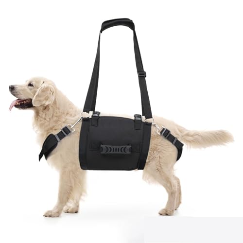 Hundegeschirr, Hilft beim Anheben der Hinterbeine, Dog Lift Harness, Hund Lift Harness, für ältere, verletzte, behinderte Hunde zum Treppensteigen, Helfen Sie Hunden Mit Schwachen Hinterbeinen (XXL) von LoKori