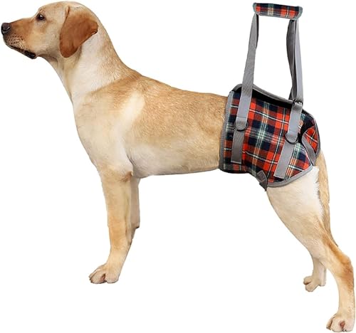 Hundestützgeschirr für die Hinterbeine, Hunde Tragehilfe vorne Hund Unterstützung Harness, weiche Hundestützschlaufe für verletzte behinderte kleine mittlere und große Hunde (L,Hind Legs Red) von LokoRi