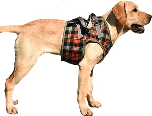Hundestützgeschirr für die Hinterbeine, Hunde Tragehilfe vorne Hund Unterstützung Harness, weiche Hundestützschlaufe für verletzte behinderte kleine mittlere und große Hunde (S,Chest Red) von LokoRi