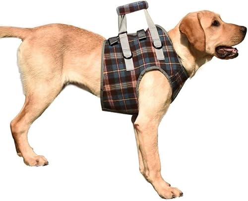 LoKori Hundestützgeschirr für die Hinterbeine, Hunde Tragehilfe vorne Hund Unterstützung Harness, weiche Hundestützschlaufe für verletzte behinderte kleine mittlere und große Hunde (XL,Chest Blue) von LoKori