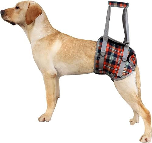 Hundestützgeschirr für die Hinterbeine, Hunde Tragehilfe vorne Hund Unterstützung Harness, weiche Hundestützschlaufe für verletzte behinderte kleine mittlere und große Hunde (XL,Hind Legs Red) von LokoRi