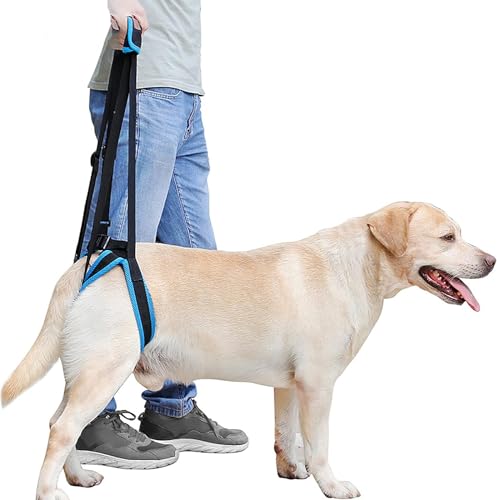 Hundestützgeschirr für die Hinterbeine, Rehabilitation Geschirr Mobilität Sling, ältere Hundeheber,tragbares Hundeschling, für Mittelgroß Älterer Hund Schwache Beine Chirurgie Rehabilitation (XL) von LoKori