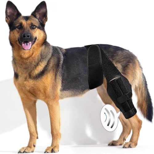 Kniebandage für Hunde, Ellenbogenschutz für Hunde, Ellenbogenbandage Hund Vorderbein/Hinterbein, für gerissenes ACL-Hinterbein, verhindert das Lecken von Wunden (L) von LokoRi