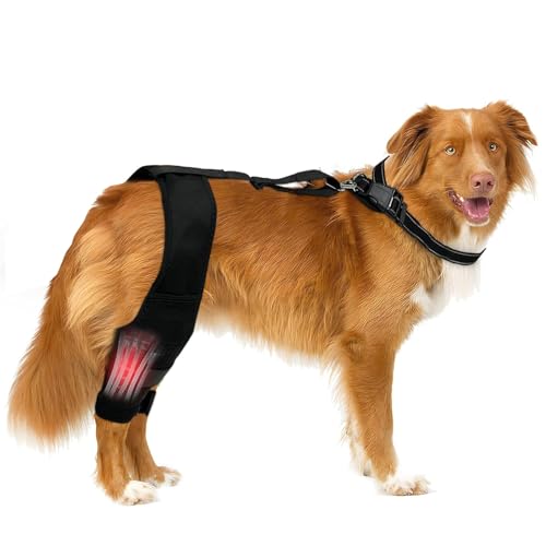 LoKori Hunde-Hinterbein-Bandage, Kniebandage für Hunde, Hunde-Hinterbein-Stallstütze, ACL-Bandage für gerissenes ACL-Hinterbein, Patellaluxation oder Arthrose (L) von LoKori