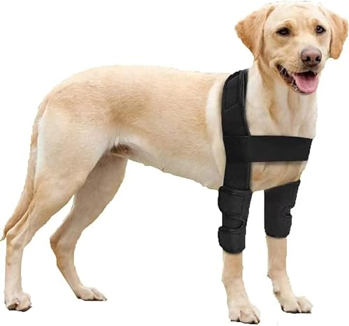 LoKori Rehab-Knieschutz für Hunde, wasserdichte Hundebeinbandagen, Kniebandage für Hunde, schützt Hunde mit gerissenem Acl, Verstauchungsschutz und Wundheilung (One Size,Upgraded Style) von LoKori