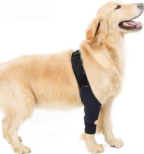 LoKori Weiche Hunde Erholungshülse Vorderbeinbandage, Ellenbogenbandage Hund, Gelenkbandage für Hunde, und Schulterstütze für Hunde, Kniebandage für Hunde bei Dysplasie, Arthritis (L) von LoKori