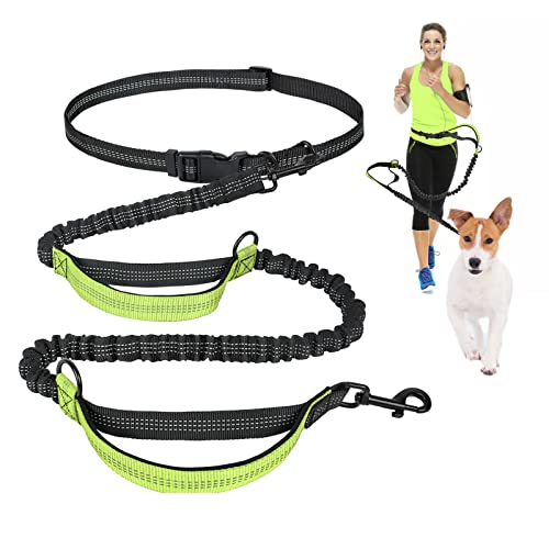 Lollanda Elastisch Joggingleine für Hunde Bewegung Handsfree Hundeleine Doppelter Knopf Hundeseil und Gürtel Set (Grün) von Lollanda