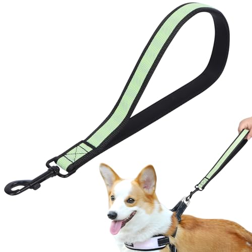 Lollanda Kurze Hundeleine für Training, Reflektierende Kurze Leine für Hund, Kurze Trainingsleinen für Kleine Mittlere Große Hunde (Schwarz, 32cm) von Lollanda