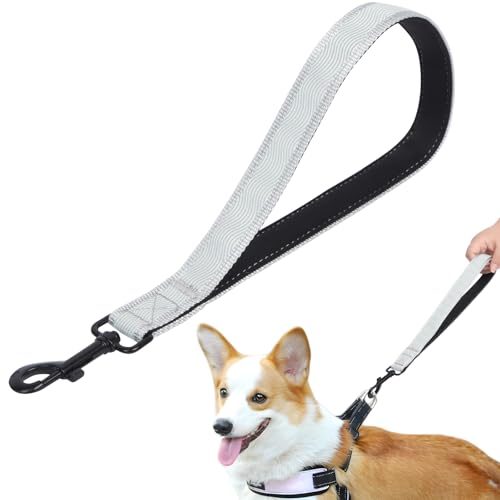 Lollanda Kurze Hundeleine zum Trainieren, Reflektierende Kurze Leine für Hund, Kurze Trainingsleinen für Kleine Mittlere Große Hunde (Grau, 32cm) von Lollanda