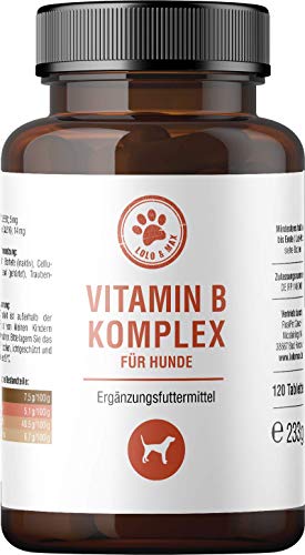 Lolo & Max Vitamin B Komplex Für Hunde - B-Vitamine, Biotin, Folsäure, Hochdosiert Für Jeden Hund In Jedem Alter (Welpe, Junghund, Senior) von Lolo & Max