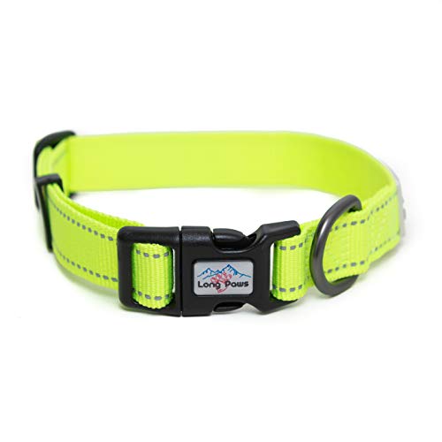 Long Paws Neon Hundehalsband, reflektierendes Halsband, hohe Sichtbarkeit, Hundehalsband (klein) von Long Paws