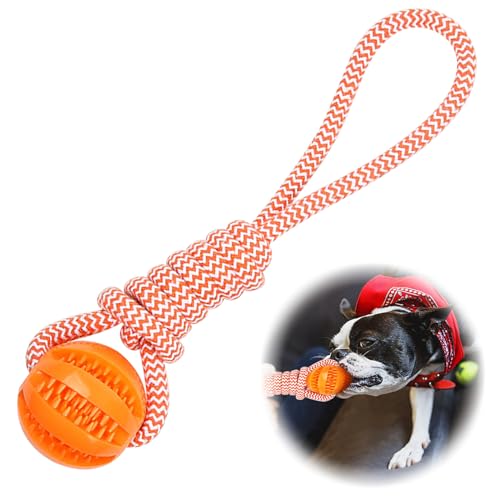 Wurfball mit Seil, Kauspielzeug für interaktiven Spaß im Freien, für Hunde Aller Größen, für Land Und Wasser, Hundetraining, Werfen, Fangen & Spielen (Orange) von Lonimia