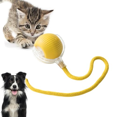 Loongroad Elektrisches Katzenspielzeug Ball Interaktiver Hund Katze Smart Ball Spielzeug Automatisches Spielzeug Rollball für Katzen Hunde Bewegungsaktivierter Automatischer Beweglicher Ball Spielzeug von Loongroad