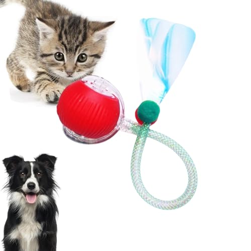 Loongroad Interaktives Katzenspielzeug Ball, Elektrisches Katzenspielzeug, Interaktives Hund Katze Smart Ball Spielzeug, Drei Modi Einstellbar mit Wake Up Funktion für Kleine Mittlere Hunde und Katzen von Loongroad