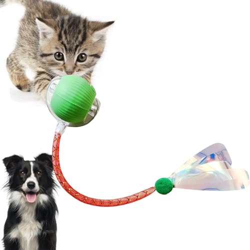 Loongroad Interaktives Katzenspielzeug Ball, Elektrisches Katzenspielzeug, Interaktives Hund Katze Smart Ball Spielzeug, Drei Modi Einstellbar mit Wake Up Funktion für Kleine Mittlere Hunde und Katzen von Loongroad