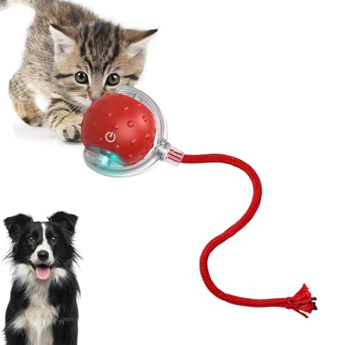 Loongroad Interaktives Katzenspielzeug Ball, Elektrisches Katzenspielzeug, Interaktives Hund Katze Smart Ball Spielzeug, Drei Modi Einstellbar mit Wake Up Funktion für Kleine Mittlere Hunde und Katzen von Loongroad