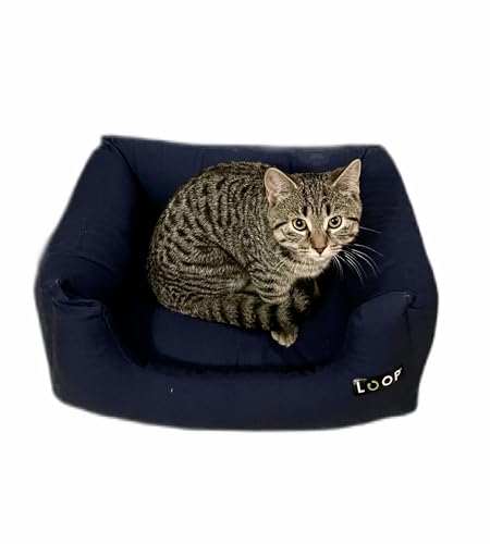 Loop cats blaues Katzenbett, rechteckiges Katzenkissen, Katzenkorb mit wasserfestem Boden und Antirutsch-Noppennachhaltig aus Upcycling-Kreislauf 'Lieblingsplatz cats' von Loop