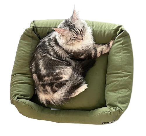 Loop cats grün Katzenbett, rechteckiges Katzenkissen, Katzenkorb mit wasserfestem Boden und Antirutsch-Noppennachhaltig aus Upcycling-Kreislauf 'Lieblingsplatz cats' von Loop