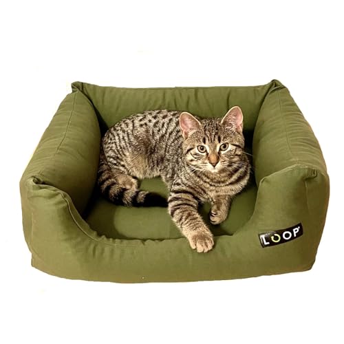 Loop cats grünes Katzenbett, rechteckiges Katzenkissen, Katzenkorb mit wasserfestem Boden und Antirutsch-Noppennachhaltig aus Upcycling-Kreislauf 'Lieblingsplatz cats' von Loop