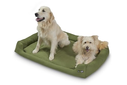 Loop grünes orthopädisches Hundebett für Zwei große Hunde, waschbar, weich, wasserfester Boden, antirutsch-Noppen, nachhaltig aus Upcycling-Material 'Lieblingsplatz' von Loop