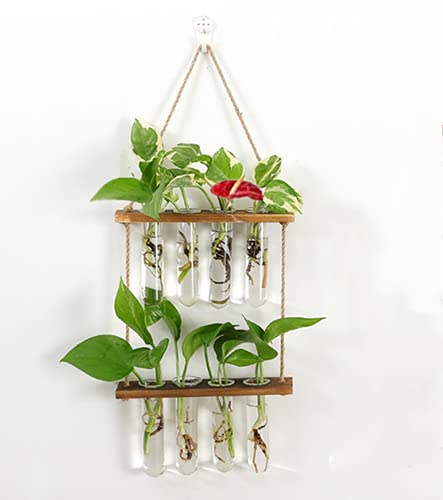 2-stöckiges Mini-Pflanzen-Terrarium mit Holzständer, zur Wandmontage hängende Pflanzen, Reagenzglas, Blumenknospe, Tisch-Glas-Terrarium, für Hydrokulturpflanzen, Dekoration (Retro-Farbe, 8 Röhren) von Loopunk
