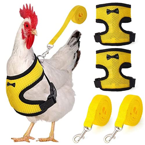 LotCow 2er-Set verstellbares Hühnergeschirr und Leine, für Henne Haustierweste, atmungsaktiv, bequem, Trainingsgeschirr für Huhn, Ente oder Gans, Geflügel (Gelb, L) von LotCow