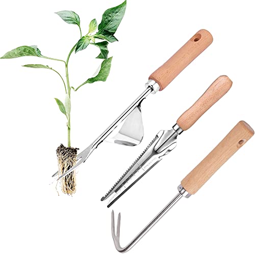 Lotvic 3 Stück Hand Unkrautstecher, Unkrautstecher Weeder, Unkrautjäter mit Stiel, Manueller Unkrautjäter, Manueller Unkrautstecher für Garten Jäten, Umpflanzen, Entwurzeln von Lotvic