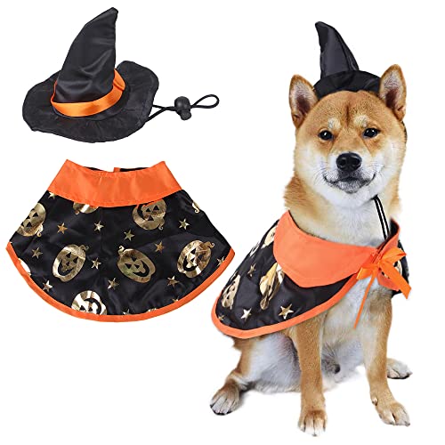 Lotvic Hund Halloween Kostüm, Halloween Haustier Kostüm, Haustier Fledermaus Kostüm, Pet Bat Wings, Halloween Katze Kleidung, Halloween Partys Cosplay Bekleidung von Lotvic