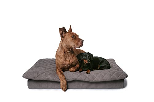 Lous Hundebett mit abnehmbarem Topper, formstabil und bequem, Hundekissen Unterwegs, waschbar 90 Grad, große Hunde, mittelgroße Hunde (L ca. 90x60x12cm, Anthrazit Grau) von Lous